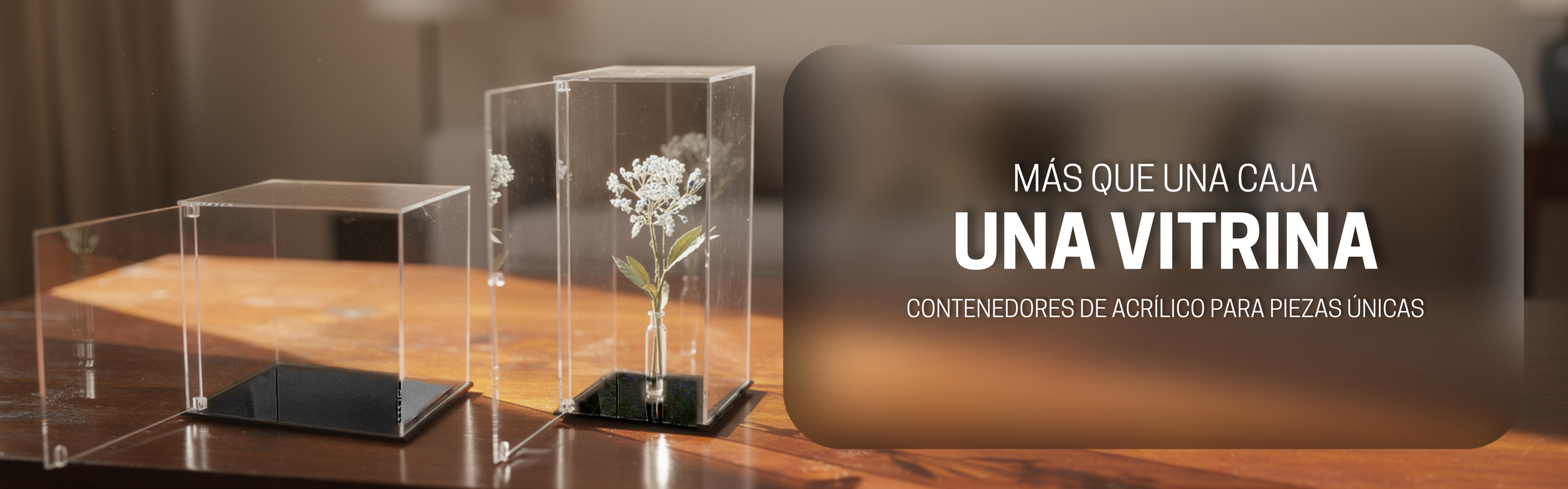 MÁS QUE UNA CAJA UNA VITRINA