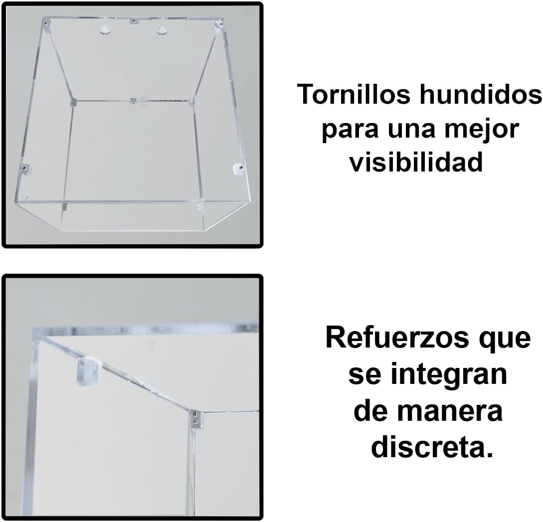 The Display Box Co